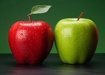 Diferencia entre Teoría y Modelo: Las gafas con las que vemos el mundo.